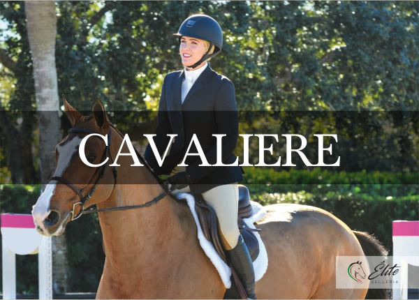 Selleria Élite del cavallo, vendita online articoli per il cavaliere