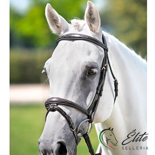 Monta inglese, Briglie - vendita online TESTIERA ECO FRIENDLY - marca: Tattini - Selleria Élite del cavallo - Palermo - Sicilia- Italia