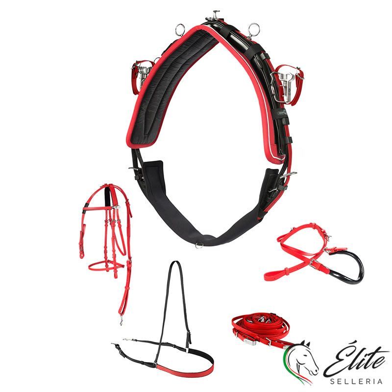 Trotto, Finimenti, - vendita online FINIMENTO COMPLETO FINNTACK QH IN BETA ROSSO - marca: Finntack - Selleria Élite del cavallo - Palermo - Sicilia- Italia