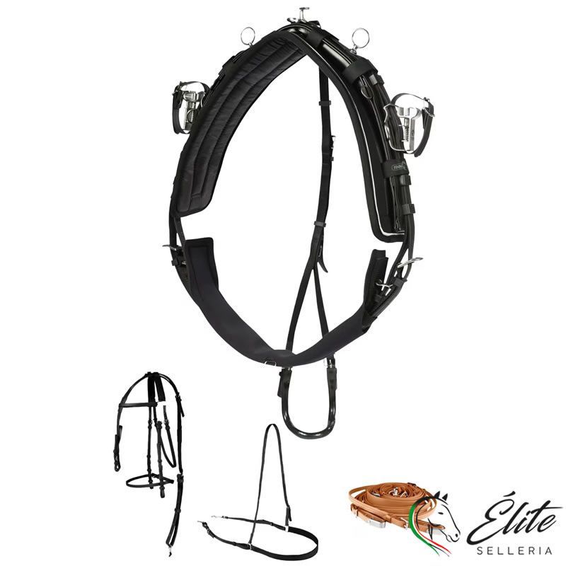 Trotto, Finimenti, - vendita online FINIMENTO COMPLETO FINNTACK QH IN BETA NERO - marca: Finntack - Selleria Élite del cavallo - Palermo - Sicilia- Italia